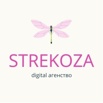 digital  strekoza-     ()
