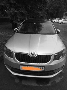   SKODA OCTAVIA 2016 .. ()