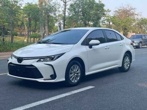 Toyota Corolla 2021 ���� (����)