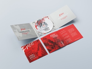Тиражирование CD, DVD дисков, USB флешек, диджипаков, конвертов (Фото)