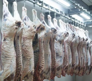 Мясо крупным оптом, говядина, свинина, цб доставка (Фото)