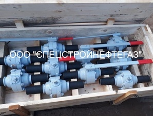���� ������� DN 50 PN 160 � ������ �������� (����)