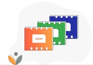 ESim  ()