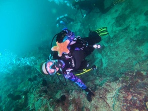 ���� �������� OWD Open Water Diver � ������ (����)