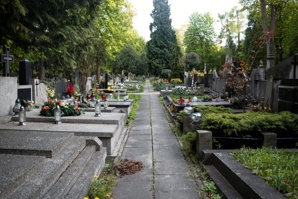 �Monument.Moscow� - ������������ ���������� � ���������� ���������� � ���������� ��������� �� 30 ��� (����)
