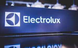 ����������������� ������ ��� ����� ������� Electrolux (����)