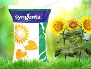     HTS Express Syngenta ()