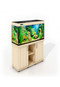 ��������� � �������� Seaprice (����)