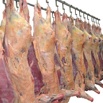 Мясо говядина, свинина, цыпленка бройлера в Смоленске (Фото)