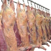 Мясо свинина, говядина, цыпленка бройлера собственного производства в Смоленске (Фото)