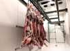 Поставка оптом мяса говядины, свинины, куриного в Москве (Фото)