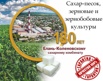 Сахар-песок, зерновые и зернобобовые культуры от Елань-Коленовский СЗ, Воронеж (Фото)