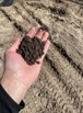 Торф, песок, земля, грунт в Сургуте (Фото)