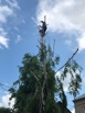 ��������� ��� ���� ������������ ����� � ��������� (����)