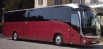 Пассажирские перевозки автобусами, заказ автобуса в Ульяновске (Фото)
