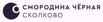 Отель Чёрная Смородина Сколково в Москве (Фото)