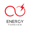    "energy forever",  ()
