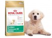  royal canin  pro plan       ()
